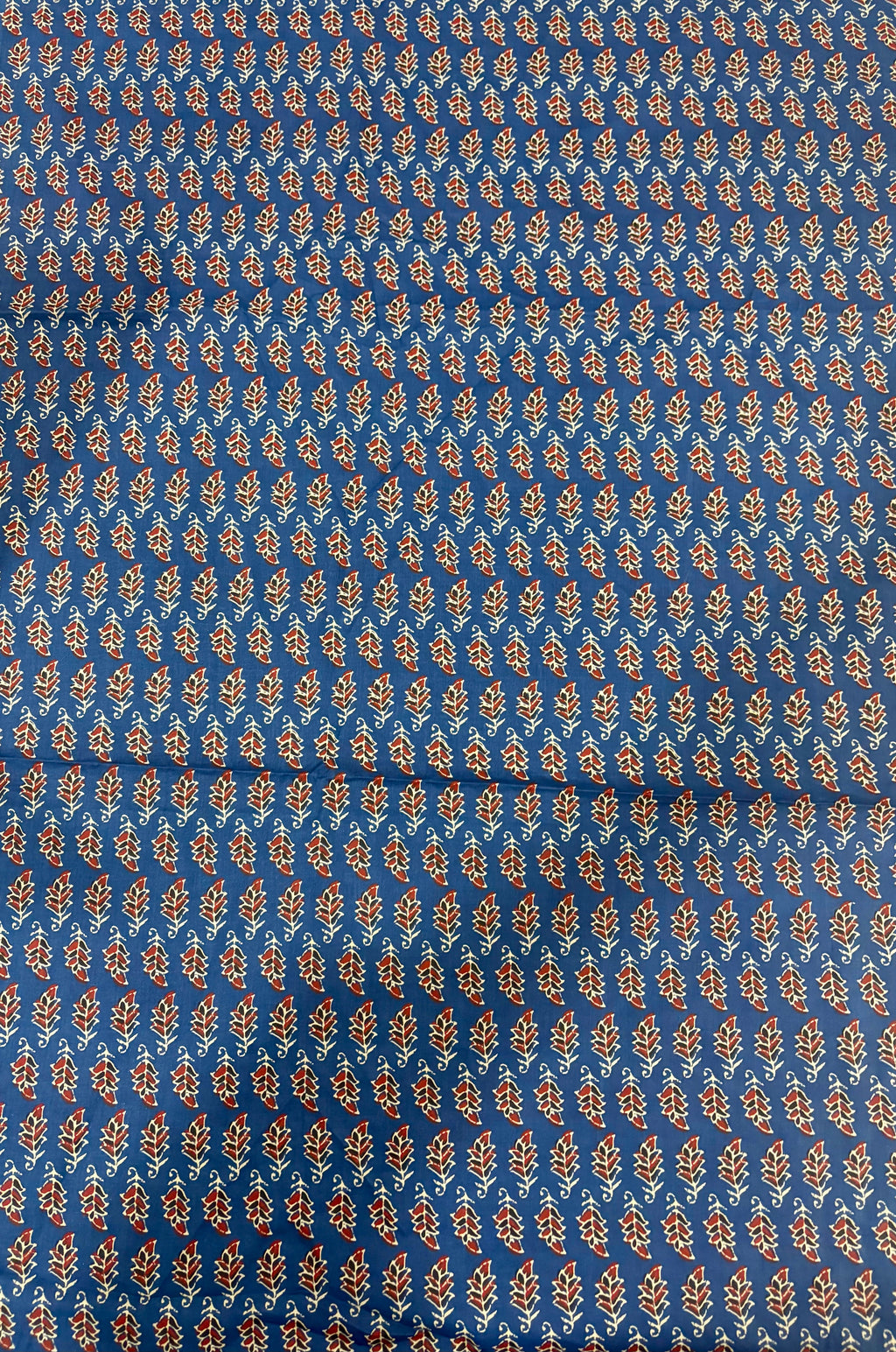 Ashruta Cotton Kurta
